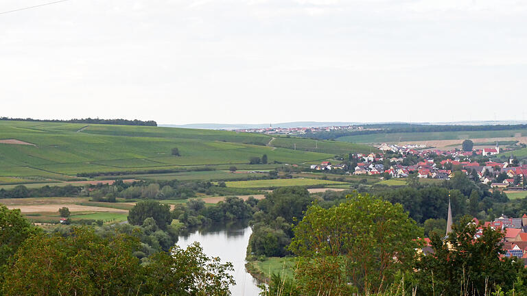 Der Main bei Untereisenheim, Obereisenheim und Fahr (Kirchturm rechts). Eine Machbarkeitsstudie soll prüfen, ob in den Wintermonaten in diesem Bereich Uferfiltrat für die Bewässerung der Felder rund um Bergtheim gewonnen werden kann.