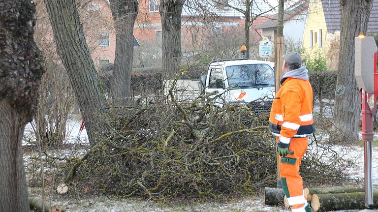 Die regelmäßige Kontrolle der städtischen Bäume und deren Entastung, wie hier in der Nördlichen Allee, kostet viel Geld. Doch um möglichst jede Gefährdung für Spaziergänger auszuschließen, möchte die Stadt daran festhalten.