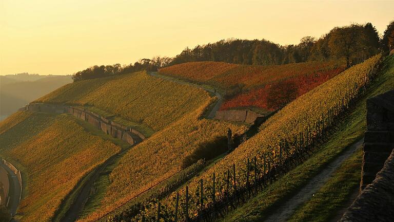 Blick auf einen Teilabschnitt des Stein-Wein-Pfades vom Schloss Steinburg in Würzburg.