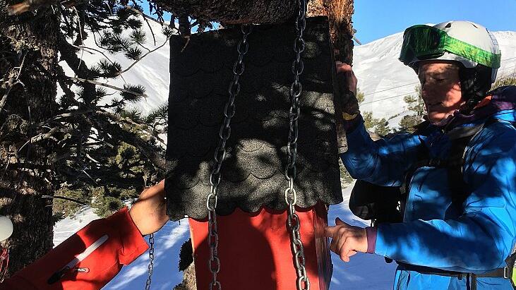 Überraschung am Baum: die kleinste Schnapshütte der Alpen.
