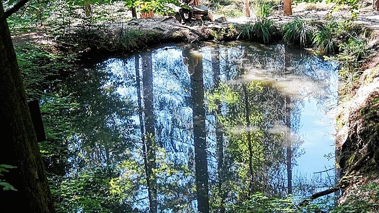 Idyllisch: Die Oase der Ruhe ist ein angelegter Weiher, der von einer Quelle aus einer großen Felsformation gespeist wird.