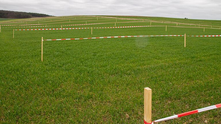 Markierungen auf einem Feld vor Wiesenfeld