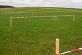 Markierungen auf einem Feld vor Wiesenfeld