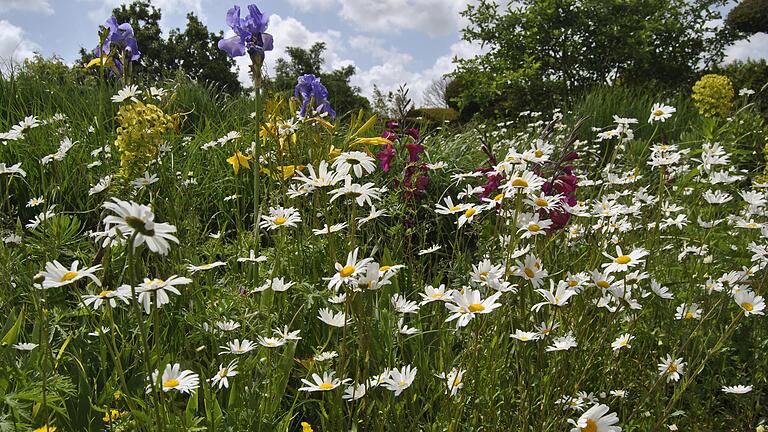 Naturnahe Gärten sind nicht nur eine Freude fürs Auge, vor allem sind sie ein Refugium für heimische Pflanzen und Tiere (Symbolbild). Naturnahe Gärten sind nicht nur eine Freude fürs Auge, vor allem sind sie ein Refugium für heimische Pflanzen und Tiere (Symbolbild).