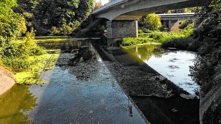 Die Maxbrücke und die Marienbrücke (im Hintergrund) überspannen das Naturschutzgebiet. Die Maxbrücke und die Marienbrücke (im Hintergrund) überspannen das Naturschutzgebiet.