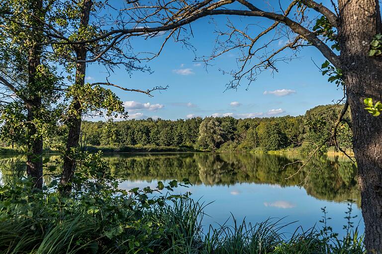 Natur in Stadt-Nähe: Zwischen Grafenrheinfeld und Schwebheim erstreckt sich entlang des Hirtenbaches eine malerische Landschaft. Natur in Stadt-Nähe: Zwischen Grafenrheinfeld und Schwebheim erstreckt sich entlang des Hirtenbaches eine malerische Landschaft.