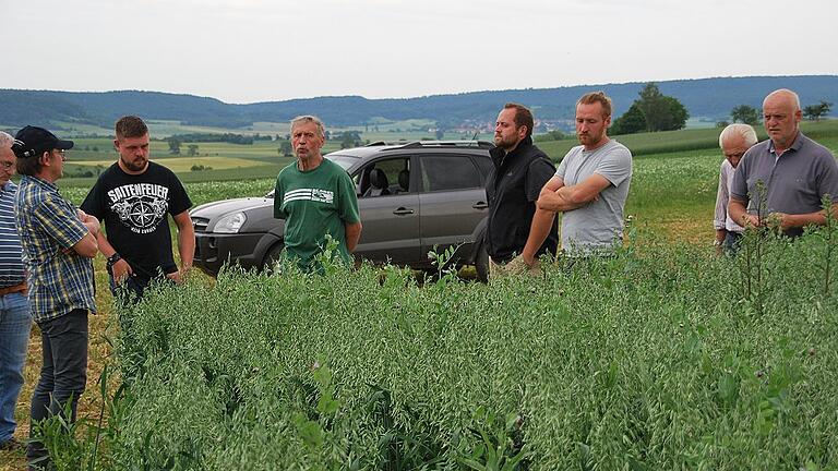 Mit neun Kollegen war Martin Gleichmann in der Flur unterwegs. Unser Bild zeigt sie bei der Begutachtung eines Hafer/ Wicken/Erbsenfeldes mit einer Luzerneuntersaat.