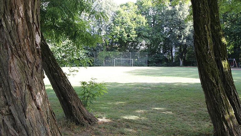 Dieser kleine Fußballplatz nahe dem Parkplatz des SC 1900 Schweinfurt am Gottesberg wird von der Stadt hergerichtet. Dann können der Verein und die drei umliegenden Schulen ihn wieder nutzen.