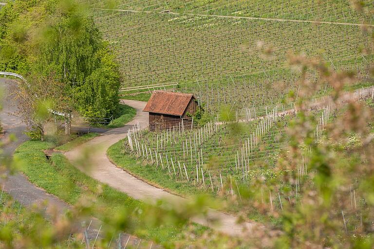 Hoch und runter, auf und ab: Wege in der Weinlandschaft am Schwanberg. Hoch und runter, auf und ab: Wege in der Weinlandschaft am Schwanberg.
