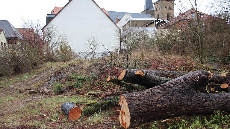 Erste Vorarbeiten zum Bau des neuen In-Hotels 'Wilder Mann' laufen schon.&nbsp;