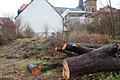 Erste Vorarbeiten zum Bau des neuen In-Hotels 'Wilder Mann' laufen schon.&nbsp;