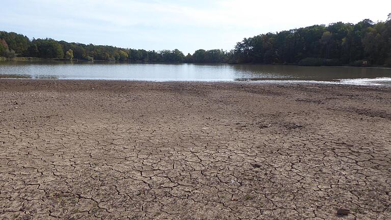 Ein gespenstisches Bild bietet der Reuthsee aktuell. Aufgrund des zunehmenden Wassermangels verlandet der See zusehends. Ein gespenstisches Bild bietet der Reuthsee aktuell. Aufgrund des zunehmenden Wassermangels verlandet der See zusehends.
