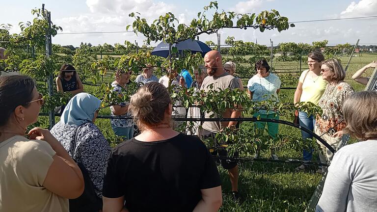 Die Hauswirtschafter/-innen besichtigten die Spalierobstplantage auf dem Bio-Hof Sterk. Die Hauswirtschafter/-innen besichtigten die Spalierobstplantage auf dem Bio-Hof Sterk.