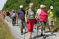 Bei der Seniorenwanderung des DJK-Diözesanverbands Würzburg im Kreisverband Werntal rund um Binsbach.