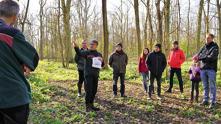 Waldspaziergang mit Grafenrheinfelds Revierförster Harald Spiegel (Mitte). Waldspaziergang mit Grafenrheinfelds Revierförster Harald Spiegel (Mitte).