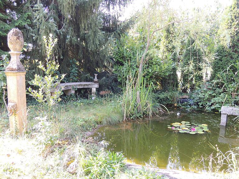 Auf dem kleinen Teich blühen Seerosen. Auf dem kleinen Teich blühen Seerosen.