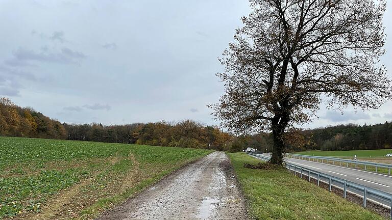 Im Bereich der Kompostieranlage zwischen Wiesenfeld und Karlburg beginnt der neue Radwegabschnitt.&nbsp;