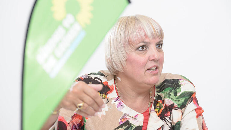 Gespräch mit Claudia Roth       -  Die Abgeordnete und Vizepräsidentin des Bundestages Claudia Roth (Bündnis 90/Die Grünen) spricht am Donnerstag (26.05.16) im Büro der Grünen in Würzburg mit einem Redakteur der Main-Post.