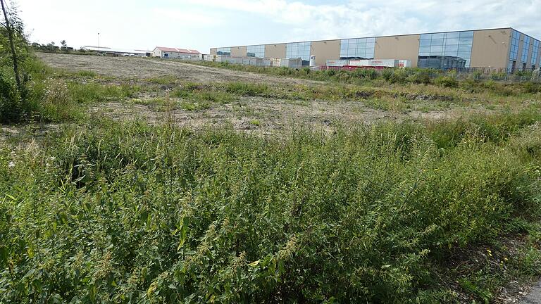 Vier Monate nach der Rodung des kleinen Wäldchens an der Julius-Hofmann-Straße wartet die freigewordene Fläche noch auf die Umwandlung in eine Park- und Stellfläche der Firma Mainfrucht. Vier Monate nach der Rodung des kleinen Wäldchens an der Julius-Hofmann-Straße wartet die freigewordene Fläche noch auf die Umwandlung in eine Park- und Stellfläche der Firma Mainfrucht.