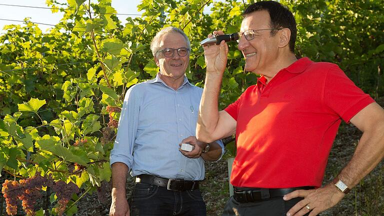 Weinbergsbegehung: MdL Wolfgang Reinhart mit Karlheinz Sack, Bereichsvorsitzender des Weinbauverbandes in Tauberfranken.