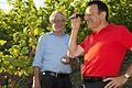 Weinbergsbegehung: MdL Wolfgang Reinhart mit Karlheinz Sack, Bereichsvorsitzender des Weinbauverbandes in Tauberfranken.