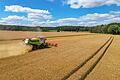 Brandenburg       -  Ein Landwirt erntet mit seinem Mähdrescher Gerste auf einem Feld in Ostbrandenburg.