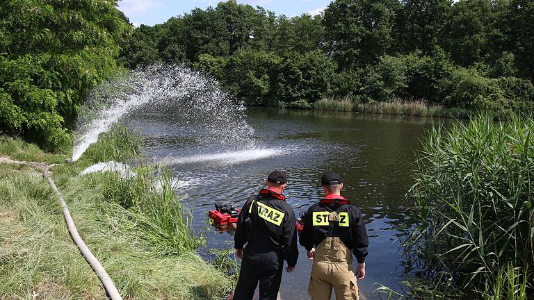 Fischsterben im Gleiwitzer Kanal in Polen       -  Der mit der Oder verbundene Gleiwitzer Kanal, in dem es erneut zu einer Blüte der giftigen Goldalge gekommen ist. (Archivbild)