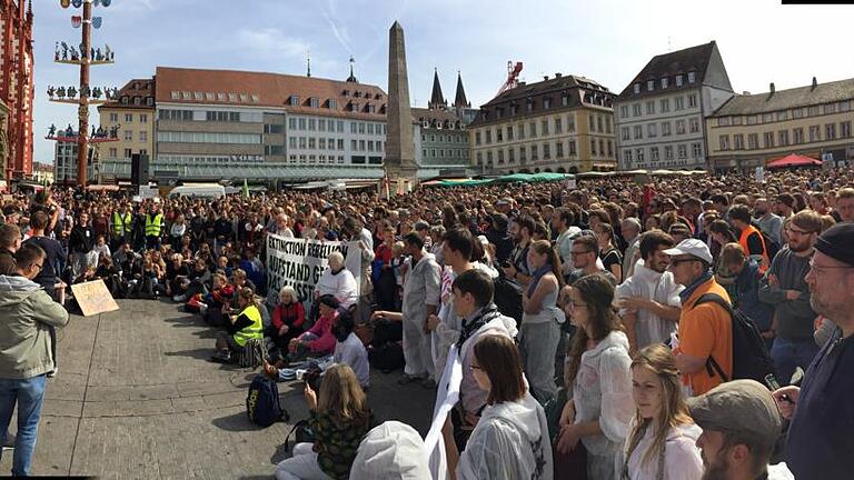 Bei der Abschlusskundgebung des Globalen Klimastreiks in Würzburg passten kaum alle Demonstranten auf den Unteren Markt.