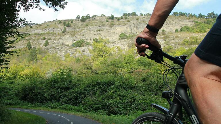 Die reizvolle Strecke entlang des Mains von Karlstadt nach Wernfeld und auf der anderen Seite zurück haben die Rotarier ausgesucht für ihre Radeltour, zu der sie alle Fahrradbegeisterten ab zwölf Jahren einladen.