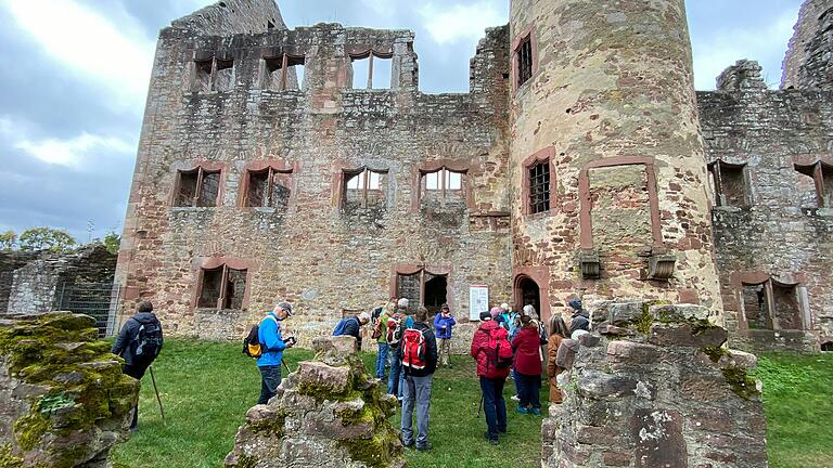 Die Wandergruppe auf der Ruine Schönrain.&nbsp;