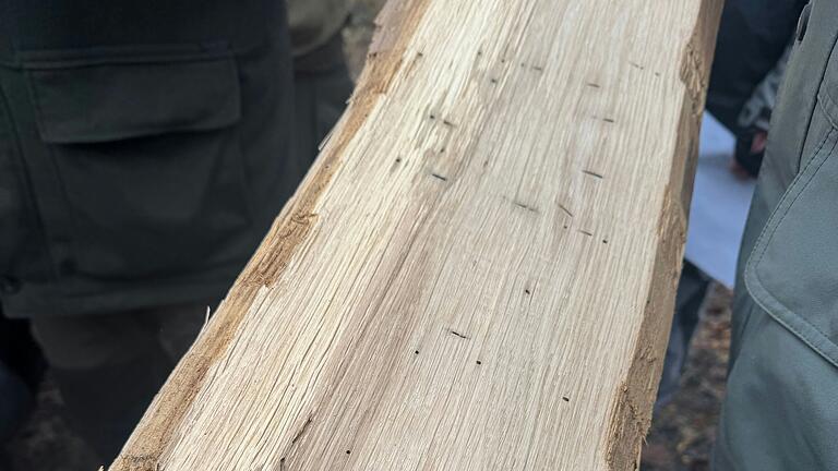 Holz. Holz.