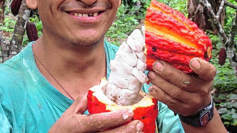 Adolfo Álvarez, einer der Bauern aus dem Urubambatal in Peru, mit einer Kakaobohne. Der unterfränkische Biologe Arno Wielgoss arbeitet mit ihm zusammen.