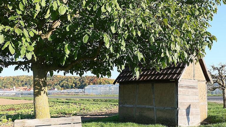 Eine Ausstellung im Segeum in Segnitz zeigt Motorhäusli als prägende Bestandteile der fränkischen Gartenlandschaft. Begleitet wird der Beitrag zu den Gartenzeichen des Landkreises Kitzingen von einer gestalterischen Aktion des Kunstkurses am Gymnasium Marktbreit zum Thema „Wasser“. Eine Ausstellung im Segeum in Segnitz zeigt Motorhäusli als prägende Bestandteile der fränkischen Gartenlandschaft. Begleitet wird der Beitrag zu den Gartenzeichen des Landkreises Kitzingen von einer gestalterischen Aktion des Kunstkurses am Gymnasium Marktbreit zum Thema „Wasser“.