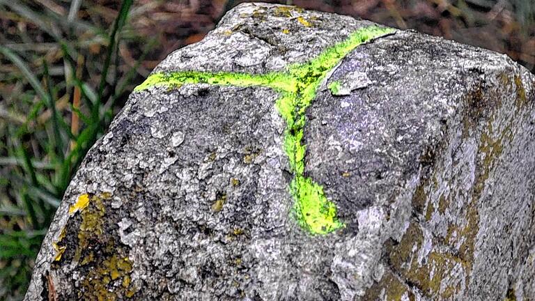 Die Kerbe auf der Spitze markiert den Grenzverlauf. Für die Gemarkungswanderung wurde sie mit Sprühfarbe hervorgehoben. Die Kerbe auf der Spitze markiert den Grenzverlauf. Für die Gemarkungswanderung wurde sie mit Sprühfarbe hervorgehoben.