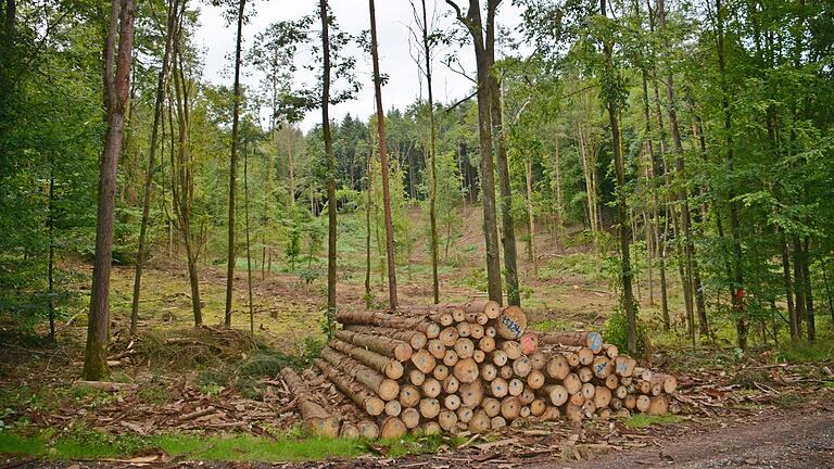 In Eußenhausen steht eine Waldflurbereinigung zur Diskussion. &nbsp;Das Amt für Ländliche Entwicklung wirbt für eine Neuordnung der Waldflächen (Symbolbild).