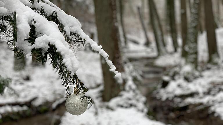 Weiße Kugeln an einem anderen Baum       -  Weiße Kugeln an einem anderen Baum