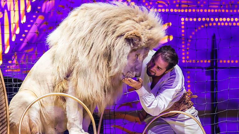 Der Circus Krone schlägt jährlich in der Weihnachtszeit in Würzburg seine Zelte auf.&nbsp;