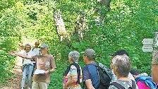 Naturkundliche Erklärungen gab es bei der Wanderung des Pastoralen Raums Bad Brückenau.       -  Naturkundliche Erklärungen gab es bei der Wanderung des Pastoralen Raums Bad Brückenau.