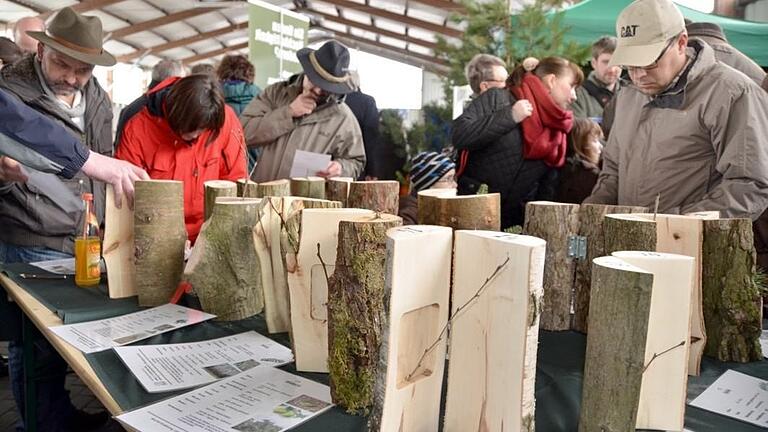 Rund ums Holz dreht sich alles beim Holz- und Energietag am Sonntag in Oberelsbach (Lkr. Rhön-Grabfeld).