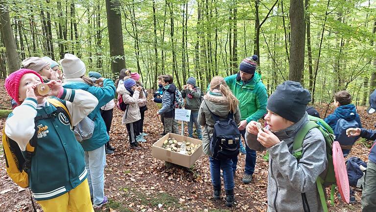 Schaumpusten am Waldtag. Mit Spülmittel und Wasser wurden die Wasserleitungsbahnen im Stamm sichtbar gemacht.