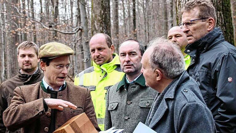 Freie Wähler informieren sich bei Rothenbuch über Nationalpark: (von links) Jann Oetting (mit Holzklotz), Hubert Aiwanger, Hans Jürgen Fahn und Günther Felbinger.