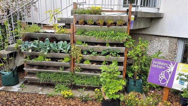 Führungen durch die Urban-Gardening-Demogärten gibt es auch in Bamberg.