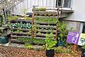 Führungen durch die Urban-Gardening-Demogärten gibt es auch in Bamberg.