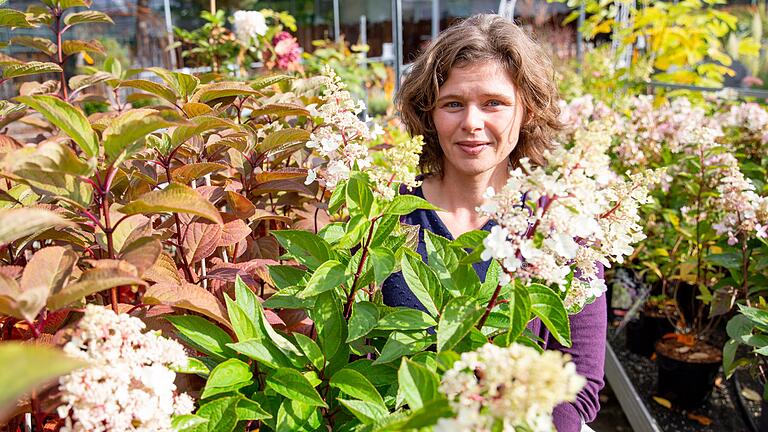 Herbstzeit ist Pflanzzeit: Claudia Taeger vom Amt für Ernährung, Landwirtschaft und Forsten in Kitzingen-Würzburg hat Tipps.