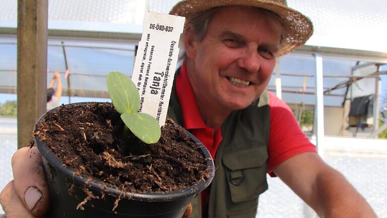 Eine Gurke namens Tanja: Veit Plietz baut zum 'Jahr der Gurke' über 30 verschiedene Gurken-Sorten an. Eine Gurke namens Tanja: Veit Plietz baut zum 'Jahr der Gurke' über 30 verschiedene Gurken-Sorten an.