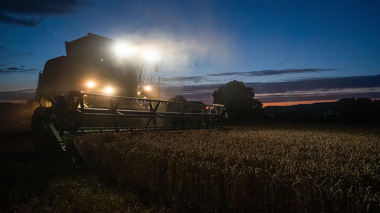 Gerade in den Abendstunden sind vom Landwirt oben im Führerstand des Mähdreschers die im Getreide positionierten Eisenteile kaum zu erkennen. Gerade in den Abendstunden sind vom Landwirt oben im Führerstand des Mähdreschers die im Getreide positionierten Eisenteile kaum zu erkennen. 
