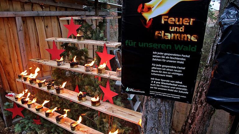 Feuer und Flamme waren Organisatoren und Besucher der Leinacher Waldweihnacht für das Zukunftswald-Projekt.