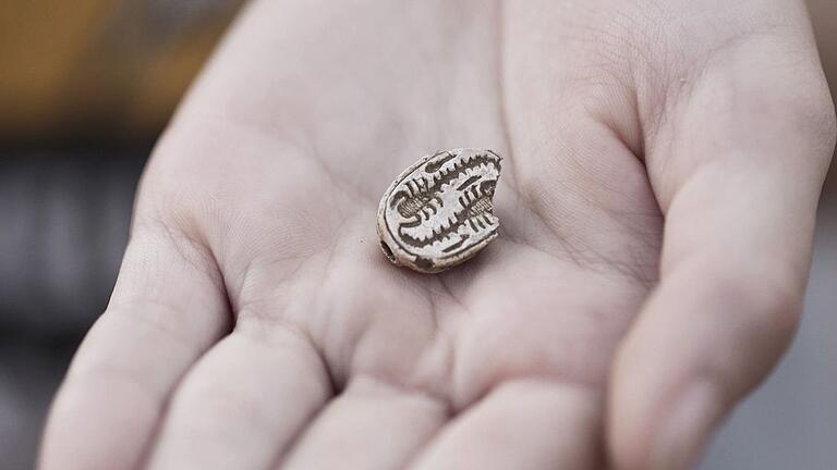 Jugendliche findet in Israel 3500 Jahre altes ägyptisches Amulett       -  Das rund 3.500 Jahre altes Skarabäus-Amulett, das ein Mädchen in Israel gefunden hat.