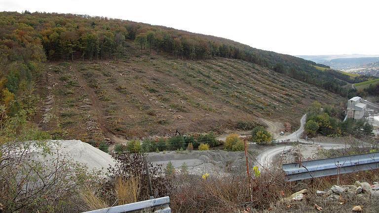 Laut Angaben der Firma Benkert wurden 5,7 Hektar für die Erweiterung des Steinbruchs in Thüngersheim gerodet. Erstmals. Weitere Waldflächen sollen folgen. Laut Angaben der Firma Benkert wurden 5,7 Hektar für die Erweiterung des Steinbruchs in Thüngersheim gerodet. Erstmals. Weitere Waldflächen sollen folgen. 