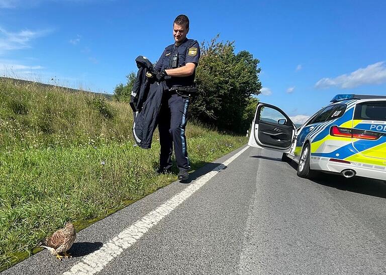 Mit seiner Jacke fing Moritz Fleckenstein ein Wanderfalken-Weibchen bei Schönau ein und brachte es in Sicherheit. Mit seiner Jacke fing Moritz Fleckenstein ein Wanderfalken-Weibchen bei Schönau ein und brachte es in Sicherheit.